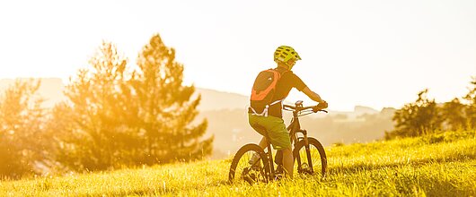 <p>Mountainbike im Mühlviertel</p>
