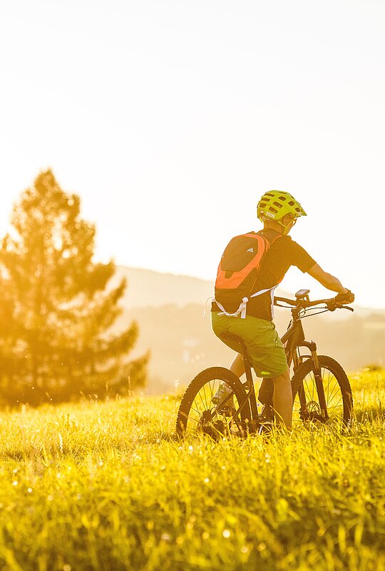 <p>Mountainbike im Mühlviertel</p>