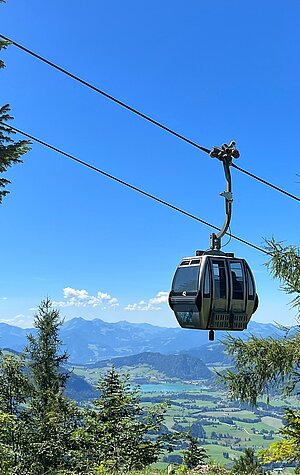 <p>Die Gondelbahn führt von der Talstation auf ca. 1500m&nbsp;</p>