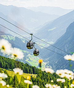 Gondeln Talauswärts - Link zu Geöffnete Anlagen